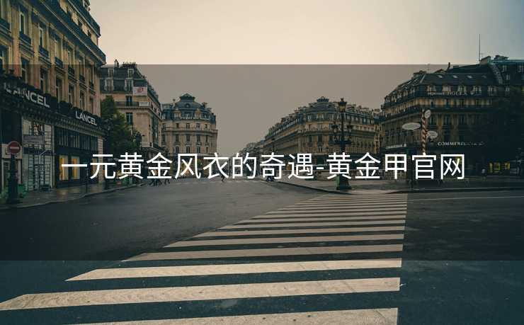 一元黄金风衣的奇遇-黄金甲官网