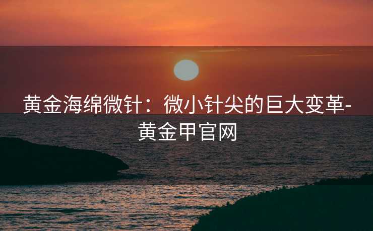 黄金海绵微针：微小针尖的巨大变革-黄金甲官网