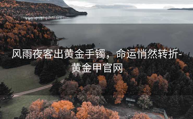 风雨夜客出黄金手镯，命运悄然转折-黄金甲官网