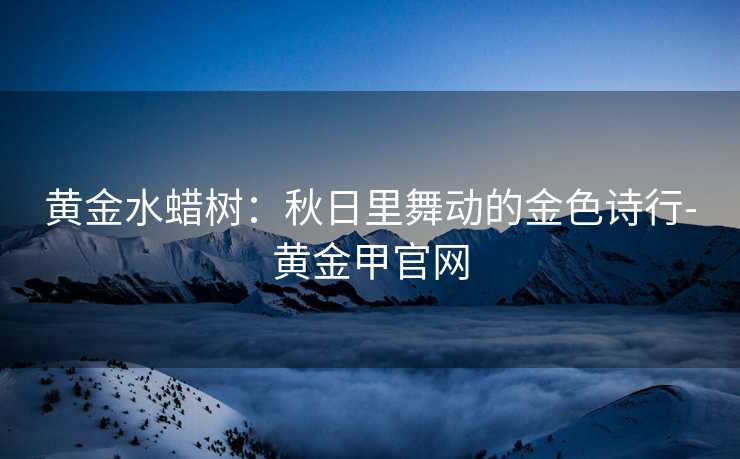 黄金水蜡树：秋日里舞动的金色诗行-黄金甲官网