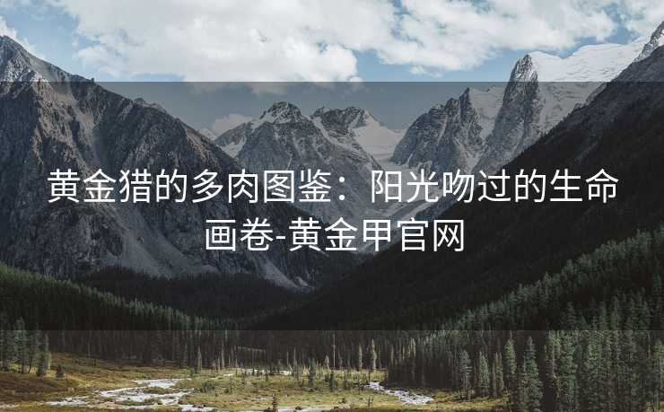黄金猎的多肉图鉴：阳光吻过的生命画卷-黄金甲官网