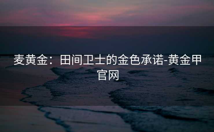 麦黄金：田间卫士的金色承诺-黄金甲官网