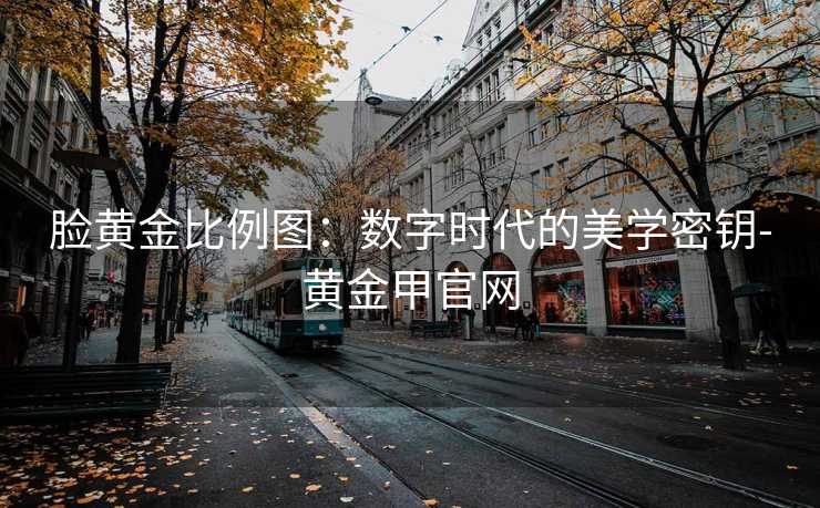 脸黄金比例图：数字时代的美学密钥-黄金甲官网