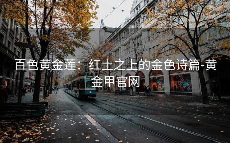 百色黄金莲:红土之上的金色诗篇-黄金甲官网 百色黄金莲:红土之上的金色诗篇-黄金甲官网