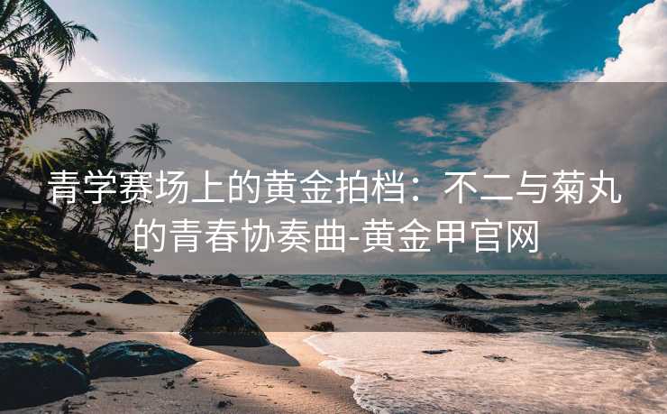 青学赛场上的黄金拍档:不二与菊丸的青春协奏曲-黄金甲官网 青学赛场上的黄金拍档:不二与菊丸的青春协奏曲-黄金甲官网