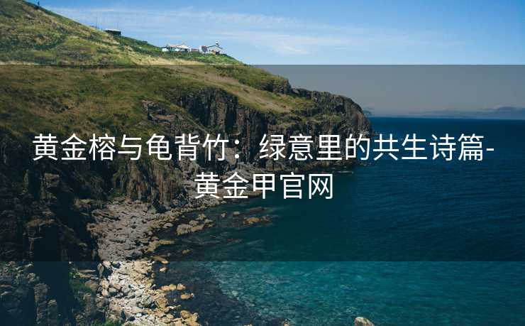 黄金榕与龟背竹:绿意里的共生诗篇-黄金甲官网 黄金榕与龟背竹:绿意里的共生诗篇-黄金甲官网
