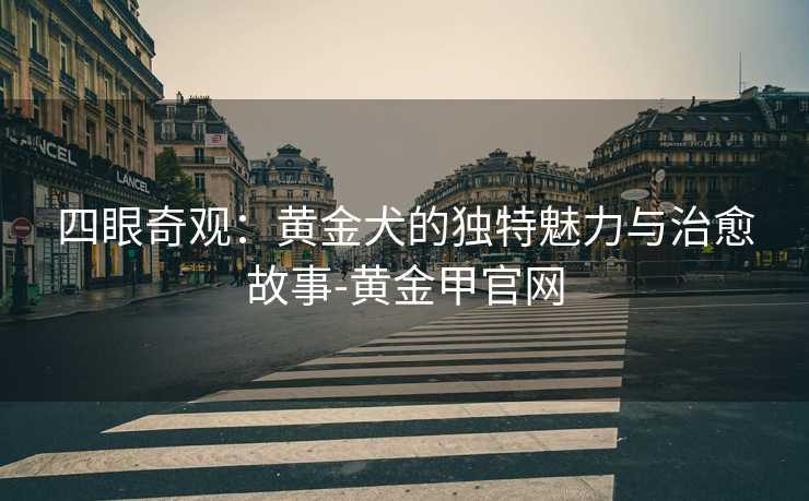 四眼奇观:黄金犬的独特魅力与治愈故事-黄金甲官网 四眼奇观:黄金犬的独特魅力与治愈故事-黄金甲官网