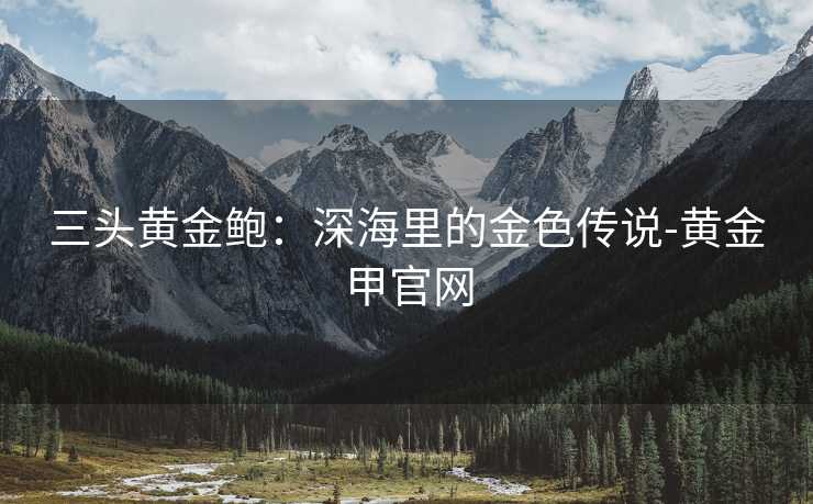 三头黄金鲍:深海里的金色传说-黄金甲官网 三头黄金鲍:深海里的金色传说-黄金甲官网